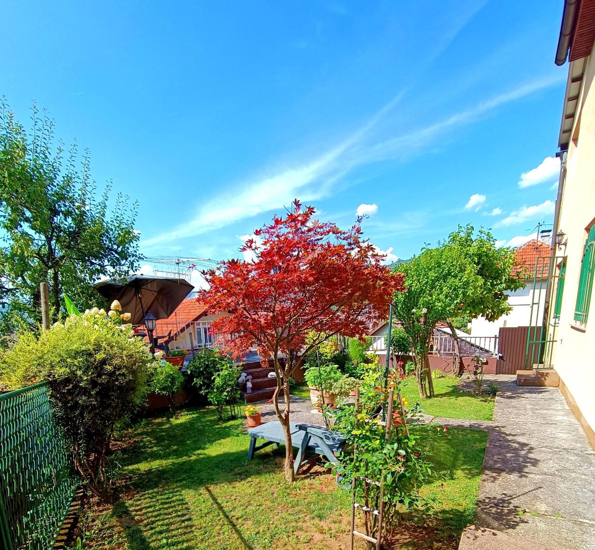 Garden Free Parking Apartment Сараево Стая снимка