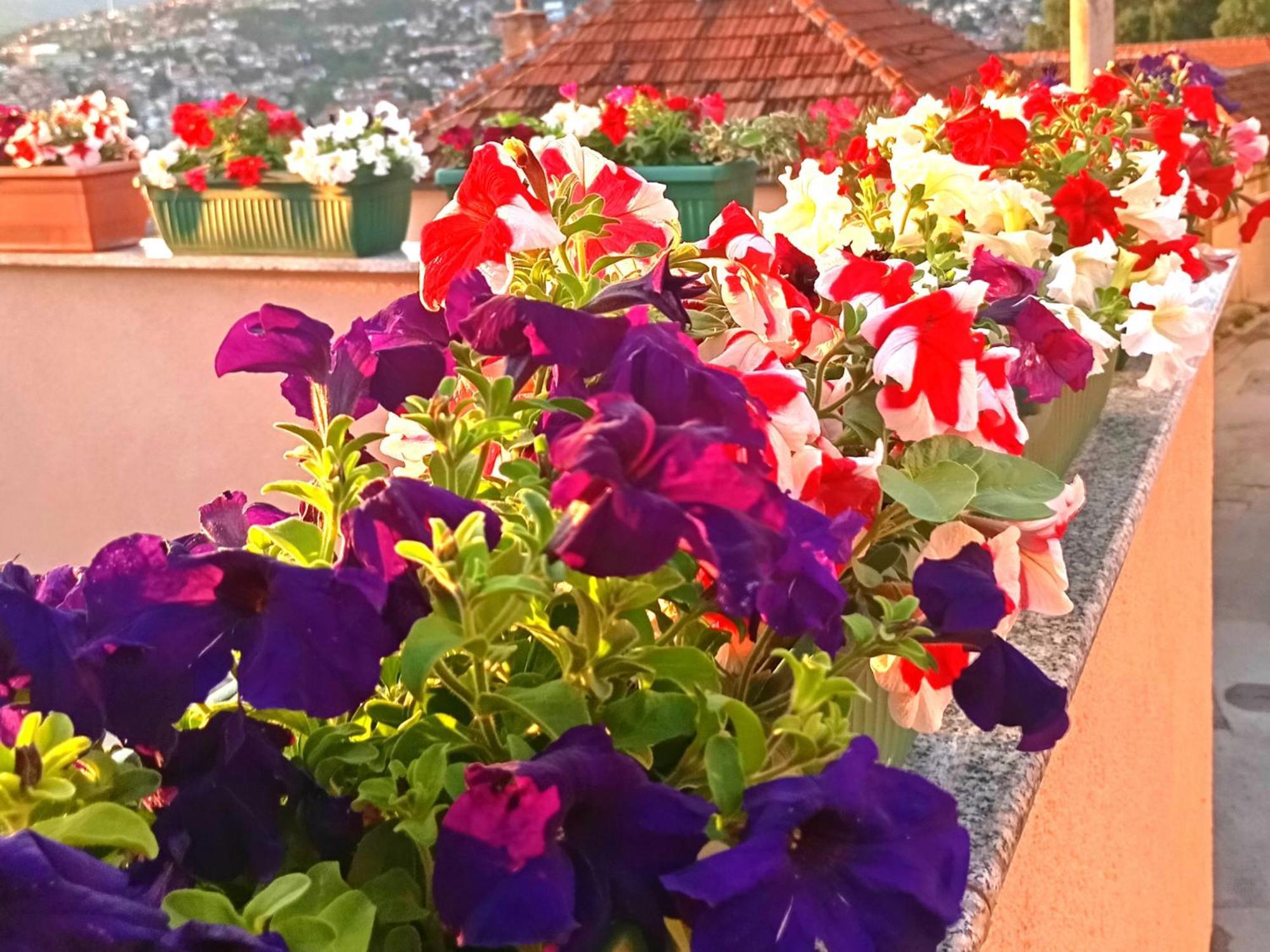 Garden Free Parking Apartment Сараево Екстериор снимка