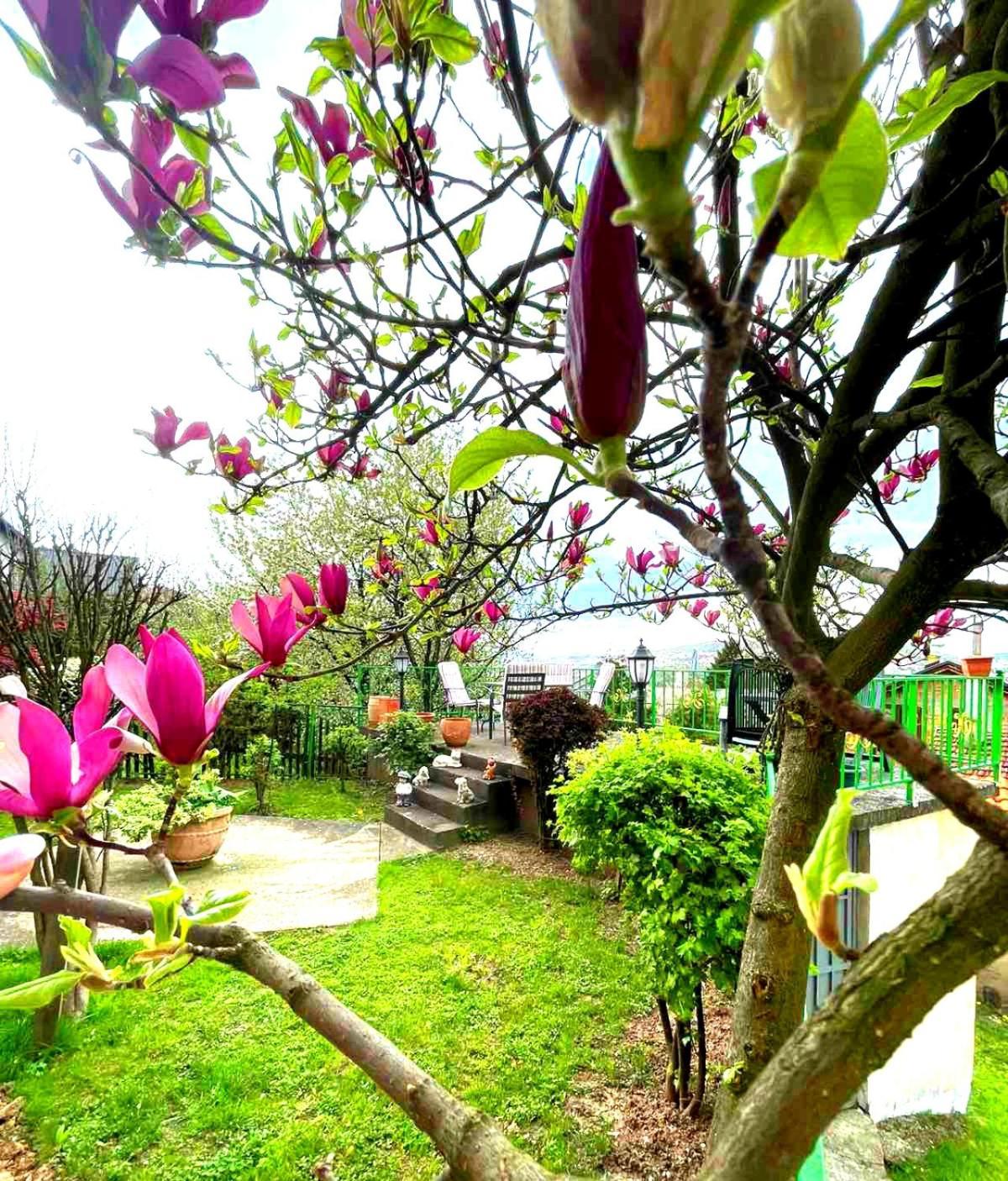 Garden Free Parking Apartment Сараево Екстериор снимка